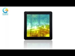 Display TFT quadrato a effetto nero di 3,95 pollici 480x480 TFT LCD con touchscreen capacitivo