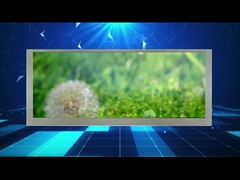 Esposizione a grande schermo dell'affissione a cristalli liquidi di risoluzioni a 10,3 pollici 1280*480 per il monitor dell'automobile