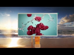 Tutti gli angoli di visione 10.1 pollici Moduli LCD touch resistivi