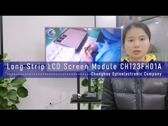 Produttore LCD 1920x720 punti 12.3 pollici Long Strip TFT Display Module