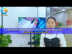 Modulo di visualizzazione LCD con interfaccia RGB