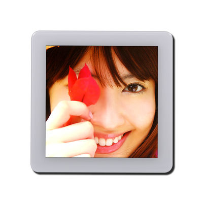 3.95 pollici St7701S Industrial Touch Screen Module 480*480 ISO9001